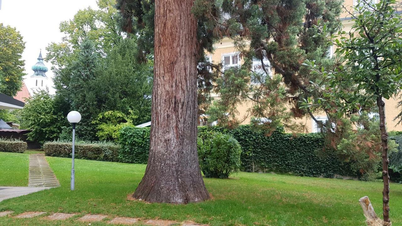 Gem Of Midcentury Design Lägenhet Wien Exteriör bild