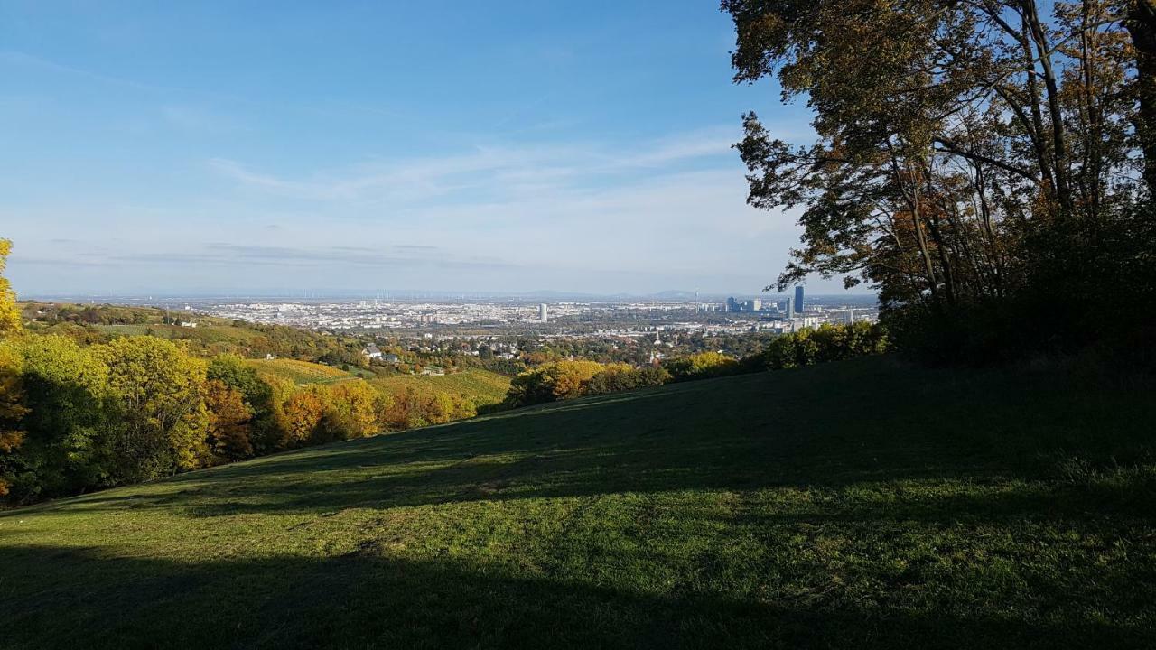Gem Of Midcentury Design Lägenhet Wien Exteriör bild